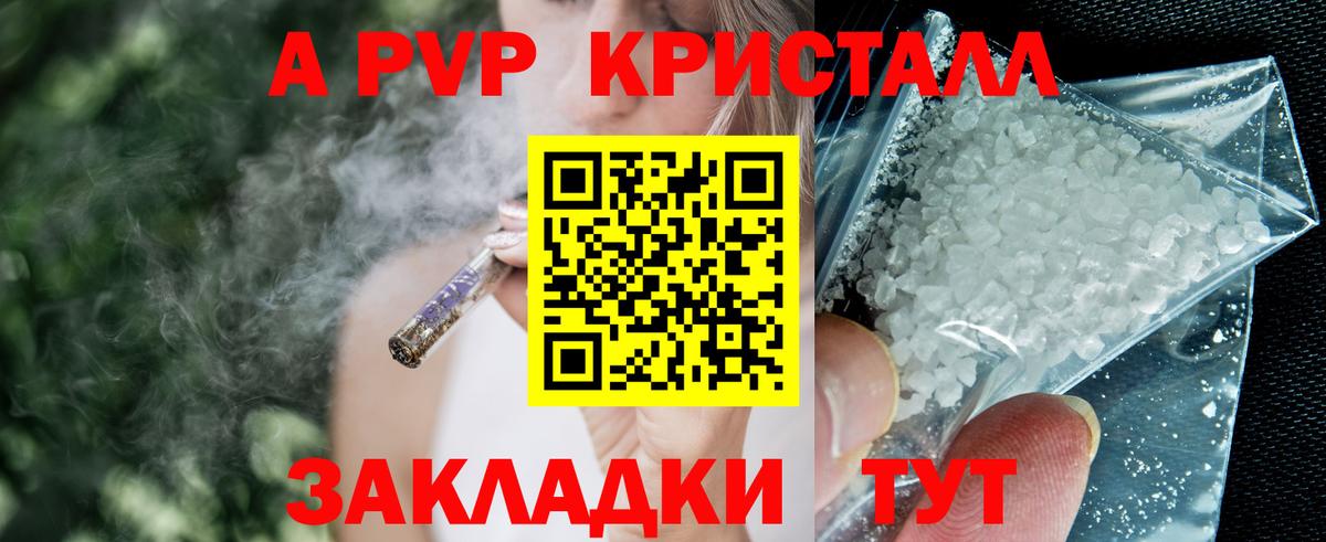 Альфа ПВП СК Североморск