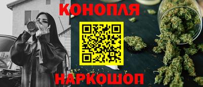 крисы Будённовск